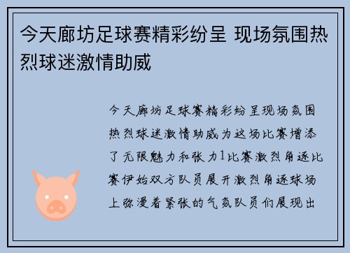 今天廊坊足球赛精彩纷呈 现场氛围热烈球迷激情助威