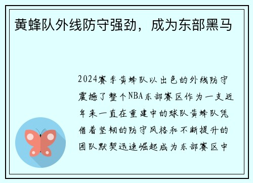 黄蜂队外线防守强劲，成为东部黑马