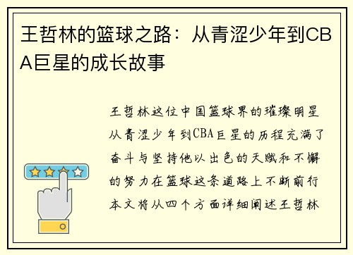王哲林的篮球之路：从青涩少年到CBA巨星的成长故事