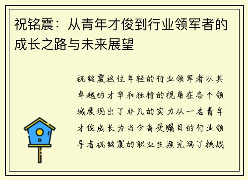 祝铭震：从青年才俊到行业领军者的成长之路与未来展望