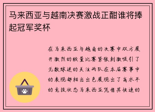 马来西亚与越南决赛激战正酣谁将捧起冠军奖杯